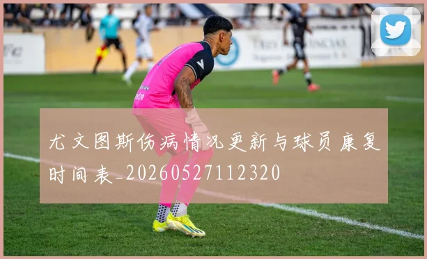 尤文图斯伤病情况更新与球员康复时间表_20260527112320
