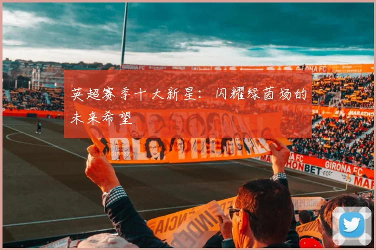 英超赛季十大新星：闪耀绿茵场的未来希望